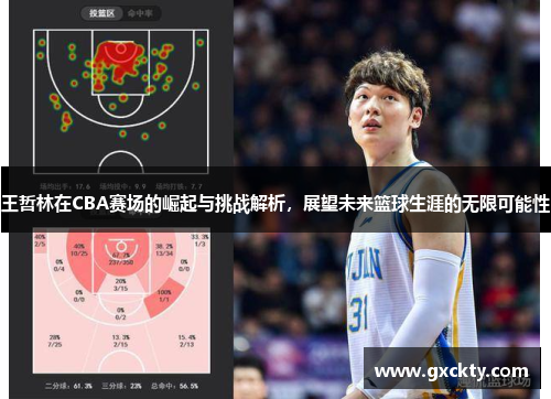 王哲林在CBA赛场的崛起与挑战解析，展望未来篮球生涯的无限可能性