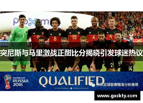 突尼斯与马里激战正酣比分揭晓引发球迷热议